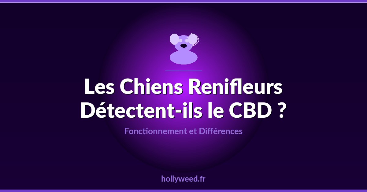 Chiens renifleurs et CBD detection cannabidiol